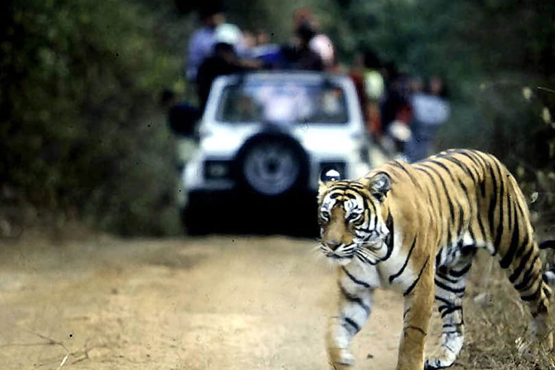 Ranthambore Tour Package, Wildlife Tour Package, Jitu India Tour
